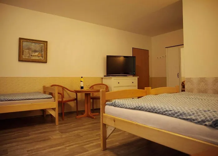 Penzion U Jezera 3*