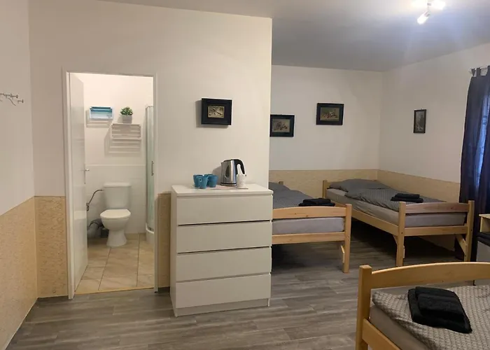 Gasthuis Penzion U Jezera 3*