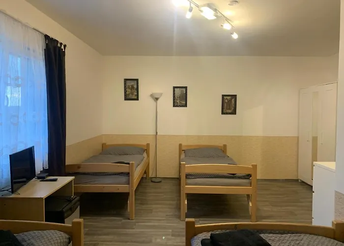 Penzion U Jezera Gasthuis 3*
